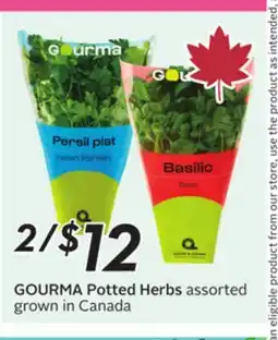 Sobeys Potted Herbs offer