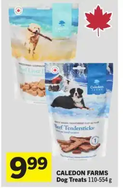 Foodland CALEDON FARMS Dog Treats offer