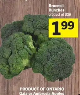 Foodland Broccoli Bunches offer