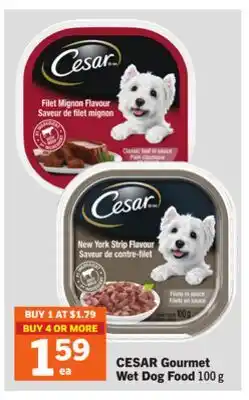 Foodland CESAR Gourmet Wet Dog Food offer