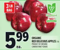 Metro ORGANIC RED DELICIOUS APPLES offer