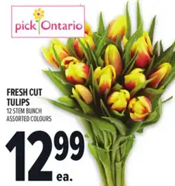 Metro FRESH CUT TULIPS offer
