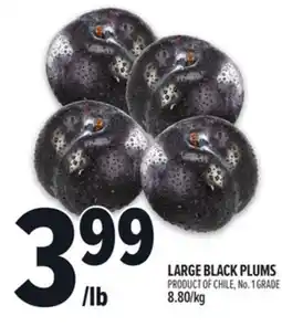 Metro LARGE BLACK PLUMS offer