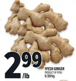 Metro FFESH GINGER offer