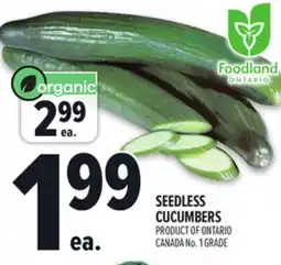 Metro SEEDLESS CUCUMBERS offer