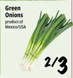Farm Boy Green Onions offer