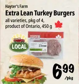 Farm Boy Hayter's Farm Extra Lean Turkey Burgers offer
