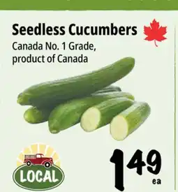 Farm Boy Seedless Cucumbers offer