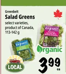 Farm Boy Greenbelt Salad Greens offer