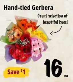 Farm Boy Hand-tied Gerbera offer