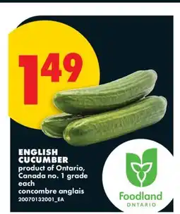 No Frills ENGLISH CUCUMBER offer