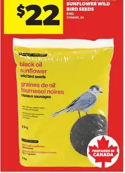 Real Canadian Superstore NO NAME BLACK OIL SUNFLOWER WILD BIRD SEEDS offer