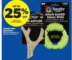 Real Canadian Superstore SPUNKY PUP DOG TOYS offer