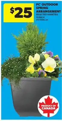 Real Canadian Superstore PC OUTDOOR SPRING ARRANGEMENT, 10 INCH offer