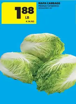 Real Canadian Superstore NAPA CABBAGE offer