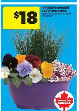 Real Canadian Superstore FARMER'S MARKET EARLY MIX BOWL, 10 INCH offer