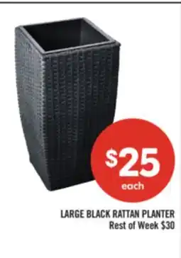 Shoppers Drug Mart LARGE BLACK RATTAN PLANTER offer