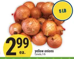 Marché Adonis yellow onions offer