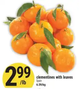 Marché Adonis clementines with leaves offer
