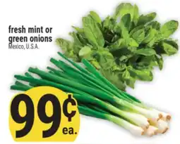 Marché Adonis Fresh mint or green onions offer