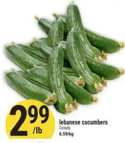 Marché Adonis lebanese cucumbers offer