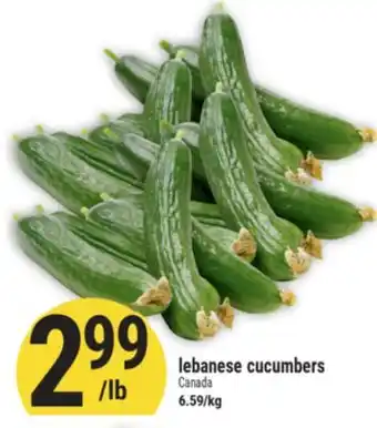 Marché Adonis lebanese cucumbers offer