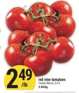 Marché Adonis Red vine tomatoes offer