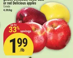 Marché Adonis Golden Delicious, Royal Gala or red Delicious apples offer