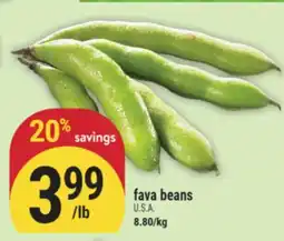 Marché Adonis Fava beans offer