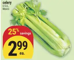 Marché Adonis Celery offer