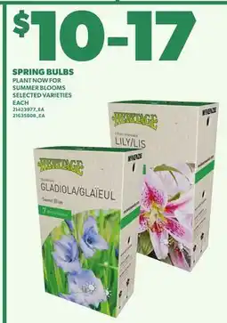 Loblaws SPRING BULBS offer