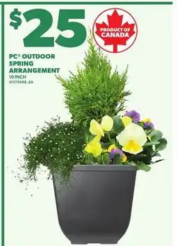 Loblaws PC OUTDOOR SPRING ARRANGEMENT, 10 INCH offer