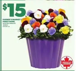 Loblaws FARMER'S MARKET PANSY BOWL, 10 INCH offer