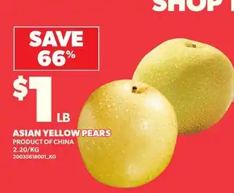Loblaws ASIAN YELLOW PEARS offer