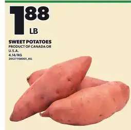 Loblaws SWEET POTATOES offer
