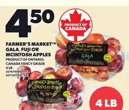 Loblaws FARMER'S MARKET GALAGALA,, FUJI OR MCINTOSH APPLES, 4 LB offer