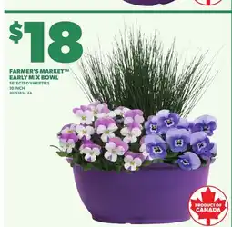 Loblaws FARMER'S MARKET EARLY MIX BOWL, 10 INCH offer