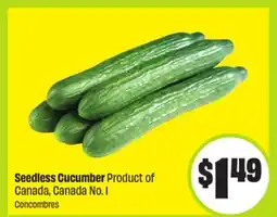 FreshCo Seedless Cucumber Product of t Canada, Canada No. 1 offer