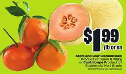 FreshCo Stem and Leaf Clementines Product of Spain 4.39/kg or Cantaloupe Product of Guatemala No. 1 Grade offer