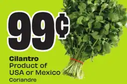 FreshCo Cilantro Product of USA or Mexico - Vaisakhi offer