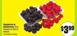 FreshCo Raspberries or Blackberries 170 g Product of USA or Mexico offer