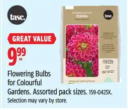Canadian Tire Tasc Flowering Bulbs for Colourful Gardens offer