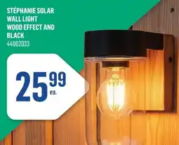 Canac Stéphanie Solar Wall Light offer