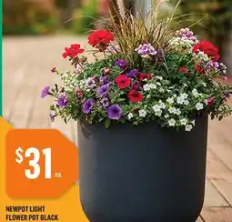 Canac Newpot Light Flower Pot black offer
