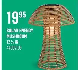 Canac Solar Energy Table Lamp offer