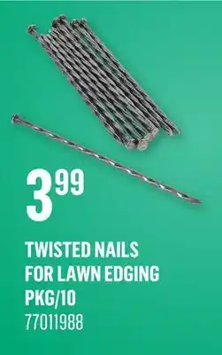 Canac Twisted Nails for Lawn Edging Pkg/10 offer