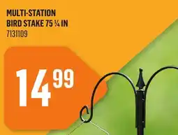 Canac Multi-Station Bird Stake offer