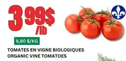 Marches Tau TOMATES EN VIGNE BIOLOGIQUES offer