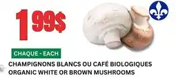 Marches Tau CHAMPIGNONS BLANCS OU CAFÉ BIOLOGIQUES offer