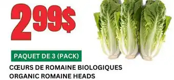 Marches Tau CŒURS DE ROMAINE BIOLOGIQUES offer